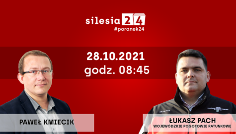 248746101 239135348251631 1682138588492498353 n