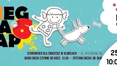 Bieg na 6 łap