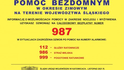 35 681436 g