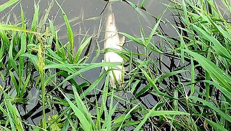 369720575 839093278018410 2960836203762937999 n