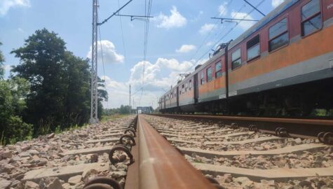 394 81014