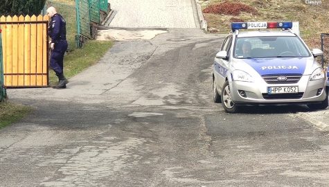 41 700382