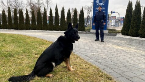 Trafił do aresztu po wizycie Abi