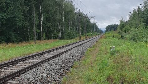 49 771393 g
