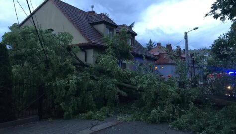 504274560 122211014894161828 8224848894739678401 n