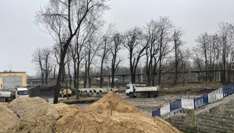 Wycinka drzew w pobliżu centrum przesiadkowego