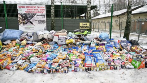 zbiórka dla częstochowskiego schroniska