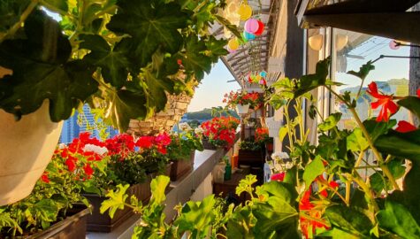 Balkon Pana Adama Lasłowskiego który zwyciężył w ubiegłorocznej edycji konkursu