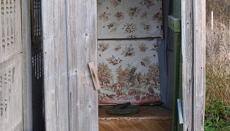 DSC 0831