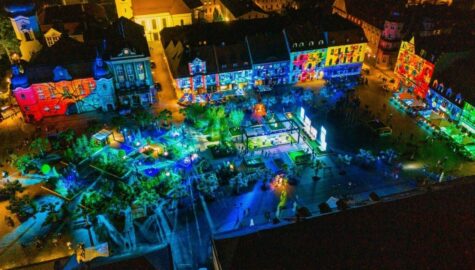 Daisy Days w pszczynie