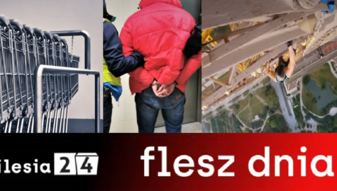 FLESZZ
