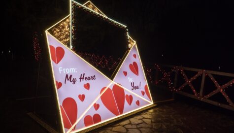 Góra Miłości w bytomiu