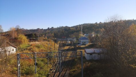 IMG 20211031 082823