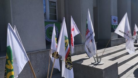 IMG 20220711 084436