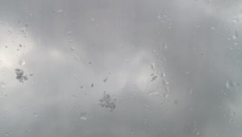 IMG 20230328 075430