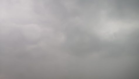 IMG 20230717 065508