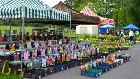 Kiermasz Kwiatowy w parku slaskim