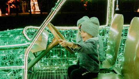 Lumina Park Silesia 2025 1