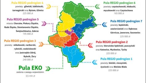Marszałkowski Budżet Obywatelski