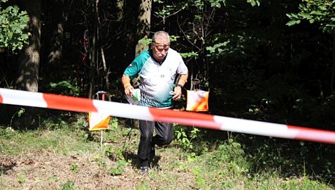 Miechowice Bytom Lasy Panstwowe 29