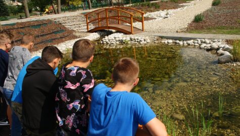 Edukacja klimatyczna w katowickich szkołach