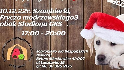 świąteczna zbiórka dla bytomskiego schroniska
