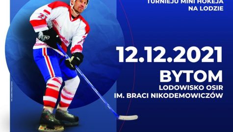 Plakat hokej