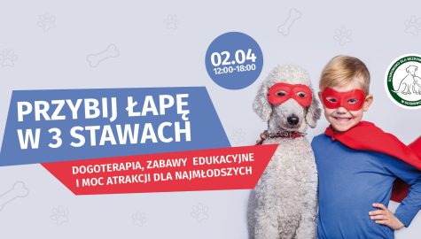 Przybij lape w 3 Stawach 2