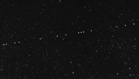 Starlink