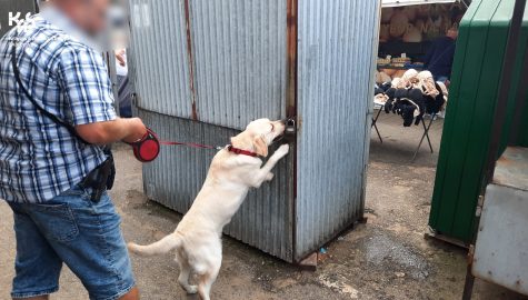 Targowisko 1