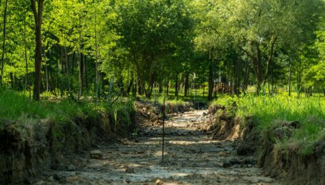 W ramach budowy parku i nowych stref przebudowany zostanie istniejący ciąg pieszy Fot KAW