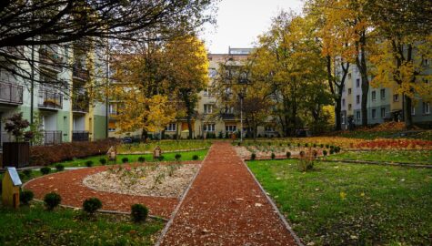 Zielona oaza w katowicach