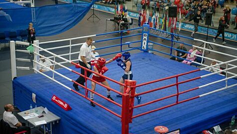 Boks 2017 fot um gliwice 8863 0 0 1