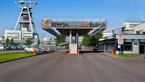 Budryk 01 fot dawid lach