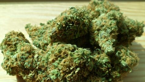 Cannabis 448661 1920 02