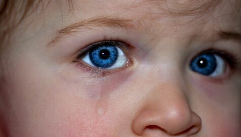 Childrens eyes 1914519 1920