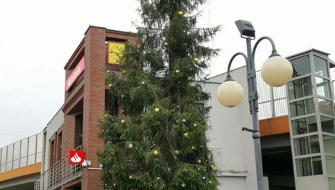 Choinka chorzow
