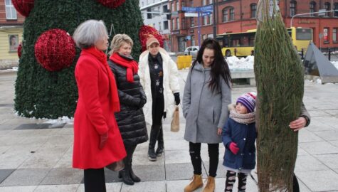 rozdawanie choinek w piekarach śląskich