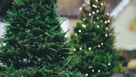 Christmas tree g9d836eace 1920