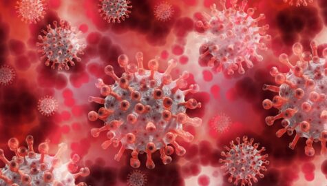 Coronavirus g0a5e7562e 1920