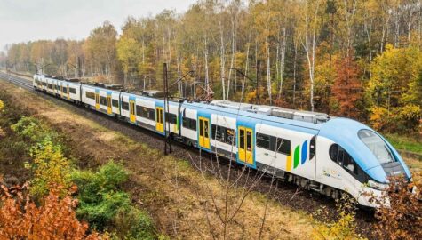 Csm 195874550 2890012331223577 2055001212562401111 n 19006c12ad