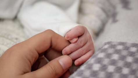 Csm babys hand 3771193 1280 8eb4912952