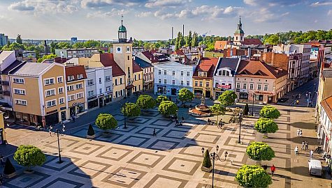 Csm drzewa rynek wizu1 c9b6a05f8c