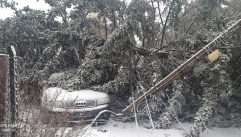 Csm piekarystraz 4b204eeda9