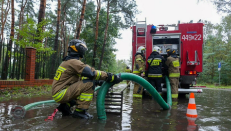 Dabrowa gornicza wpf