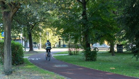 Drogi rowerowe w katowicach