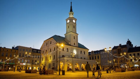 Dzien europy w gliwicach