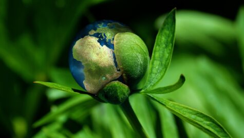 Ecology g581803793 1920
