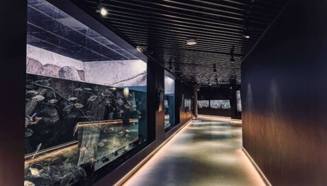 Egzotarium straszny weekend 1