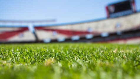 Field stadium soccer argentina 61143